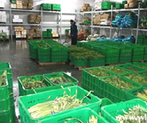 塑料周轉(zhuǎn)筐能用多少年？